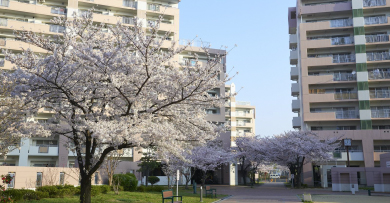 春　サンヴァリエ針中野