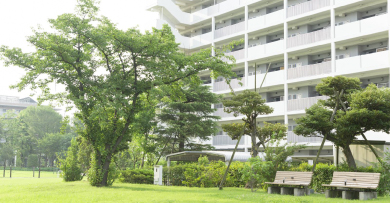 夏　フレール西新井中央公園